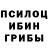 Псилоцибиновые грибы прущие грибы 1) 3542