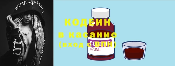 шишки Волосово