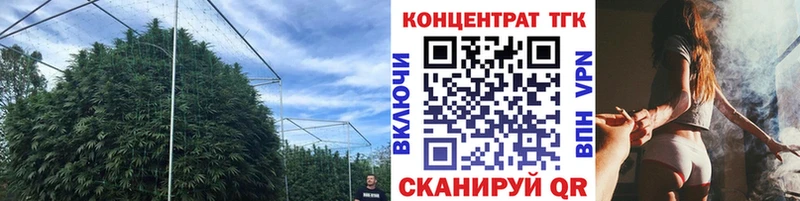 где продают наркотики Горбатов ТГК гашишное масло