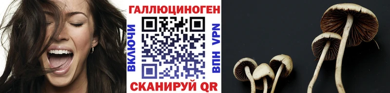 магазин продажи   Горбатов  Галлюциногенные грибы мухоморы 